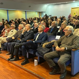 assemblea 19.11.25_9 platea